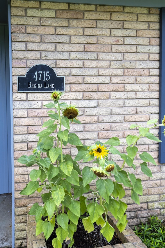 4715 Regina Ln, Beaumont, TX 77706 - exterior view