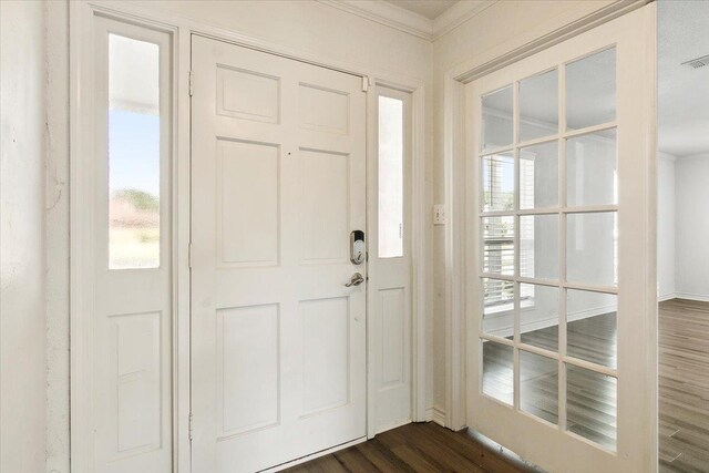 entryway with dark hardwood / wood-style floors and a wealth of natural light