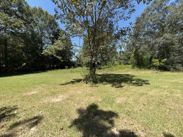8115 Tall Pines Ln, Orange, TX 77632 - photo 12
