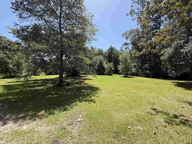 8115 Tall Pines Ln, Orange, TX 77632 - photo 15