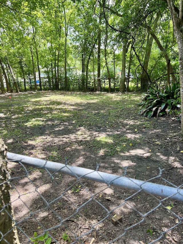 265 W Hartel St, Sour Lake, TX 77659 - view of yard