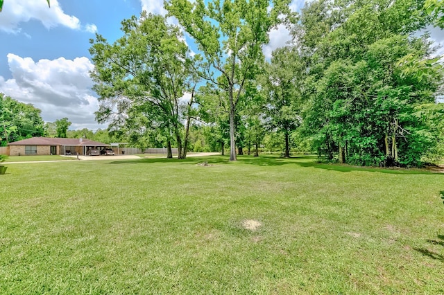 175 Triangle Dr, Vidor, TX 77662 - view of green lawn featuring view of wooded area