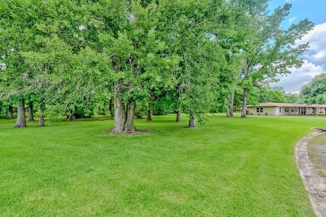 175 Triangle Dr, Vidor, TX 77662 - view of green lawn