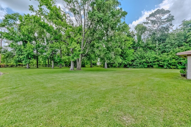 175 Triangle Dr, Vidor, TX 77662 - view of green lawn featuring view of wooded area
