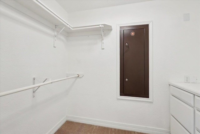 spacious closet with carpet flooring