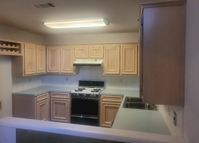 kitchen featuring range, tasteful backsplash, and sink