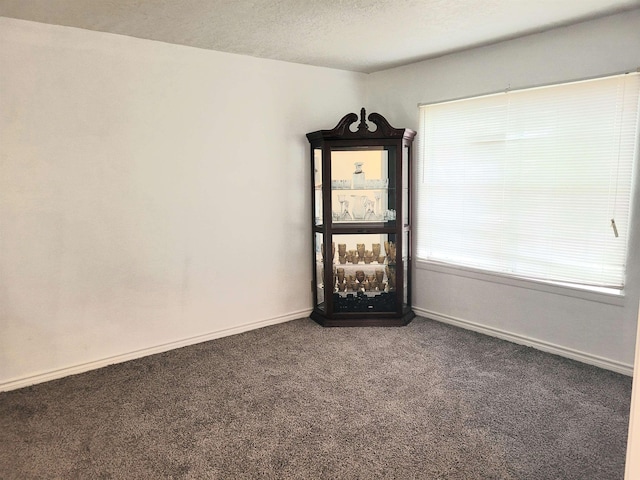 spare room with baseboards, a textured ceiling, and carpet