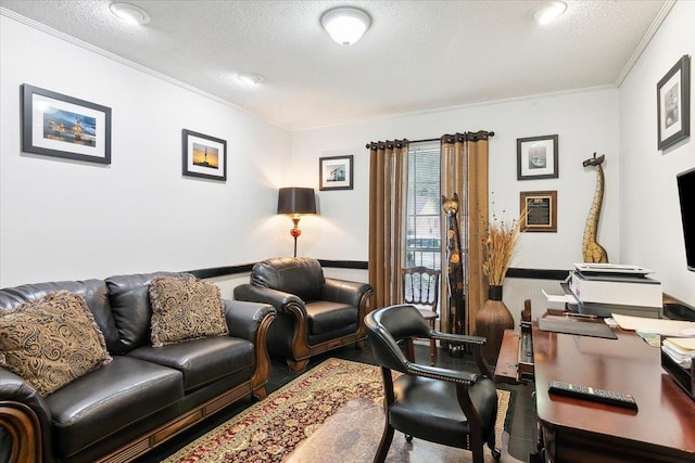 living room with crown molding and a textured ceiling