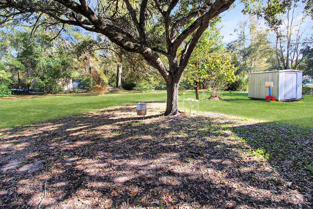 view of yard featuring a shed