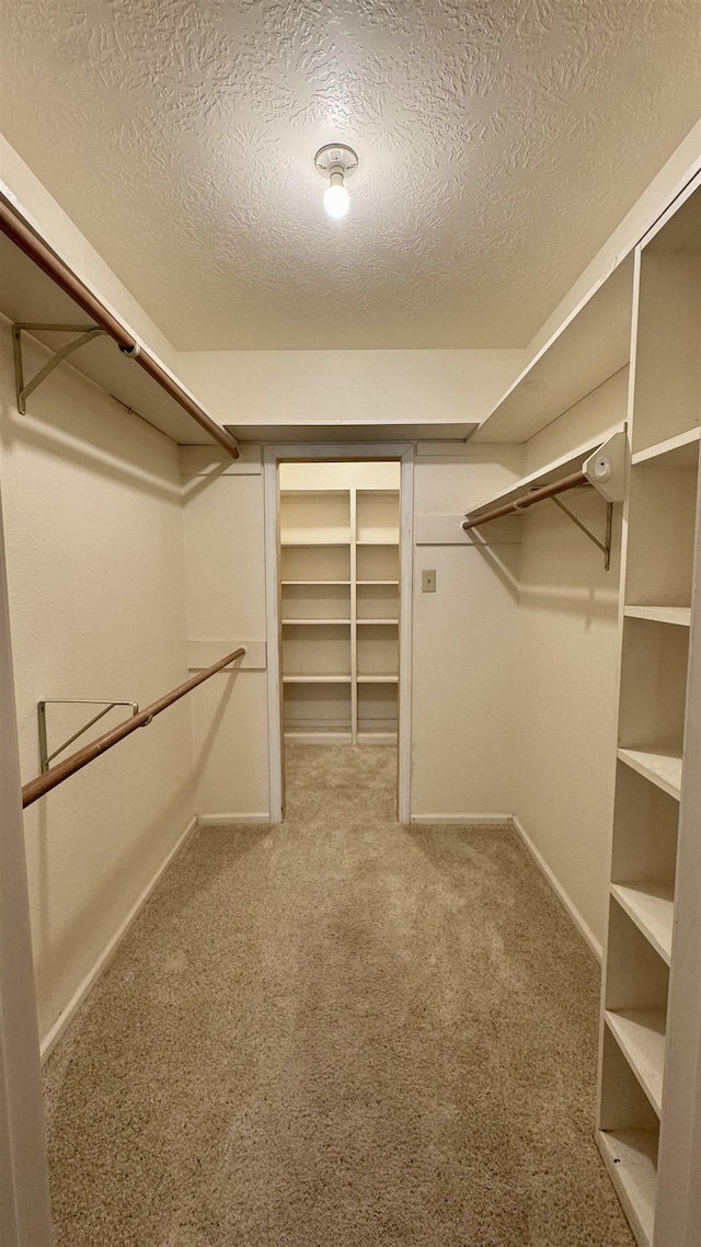 spacious closet with carpet