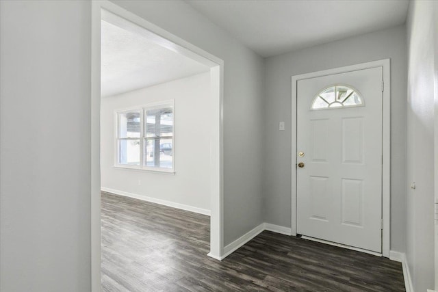 foyer entrance with dark wood-type flooring