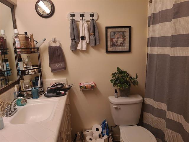 bathroom with a shower with curtain, sink, and toilet