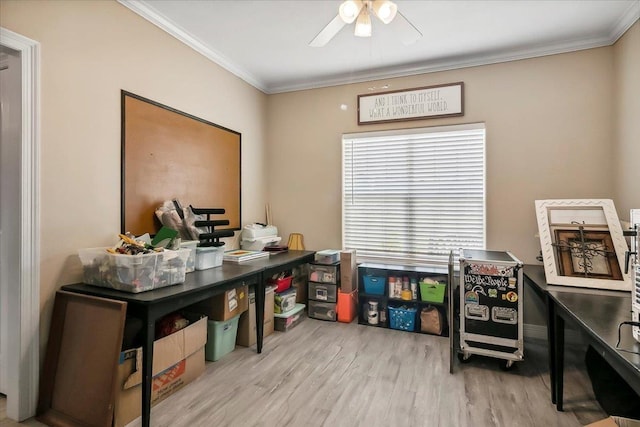 office featuring light hardwood / wood-style flooring, ceiling fan, and ornamental molding