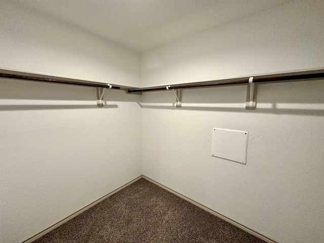 1525 Holly Trl, Sour Lake, TX 77659 - walk in closet featuring carpet flooring