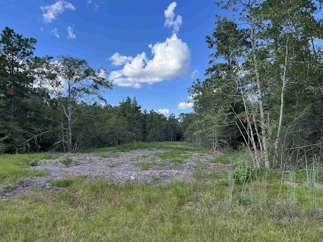 Listing photo 2 for TBD Laird Rd, Kountze TX 77625