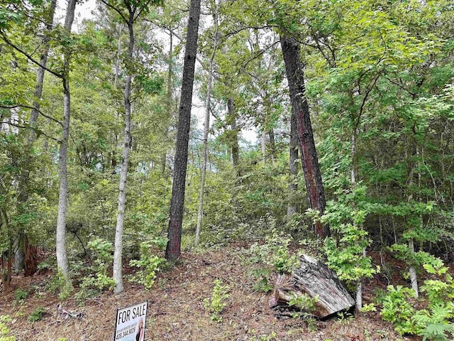 TBD Beechridge Lp, Hemphill, TX 75948 - photo 6