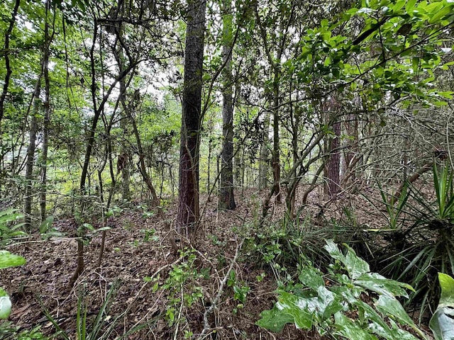 TBD Beechridge Lp, Hemphill, TX 75948 - photo 3