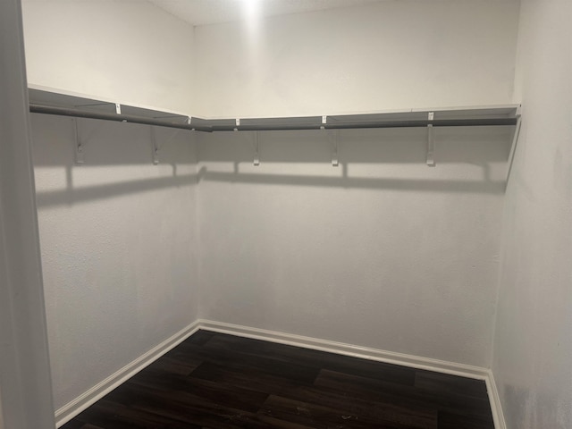 walk in closet with dark hardwood / wood-style flooring