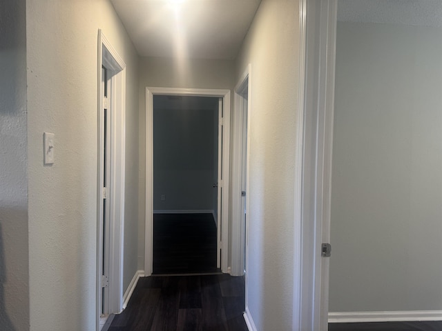 hallway with dark hardwood / wood-style flooring