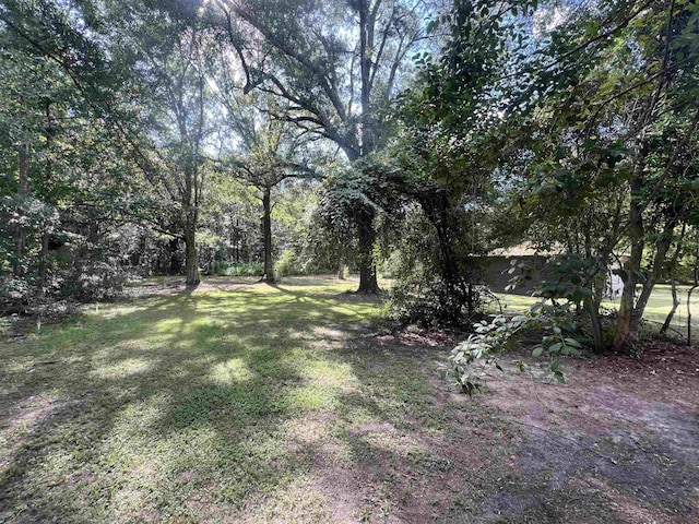 5695 Tyler St, Vidor, TX 77662 - photo 14