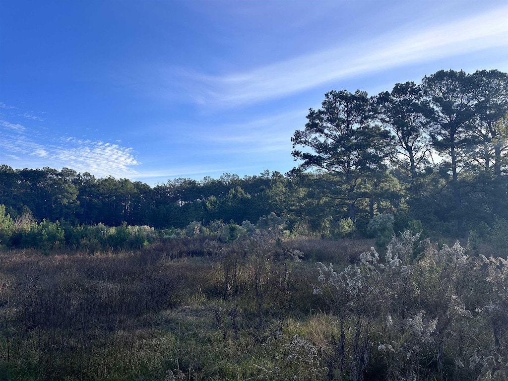 TBD Amrock Rd, Orange, TX 77632