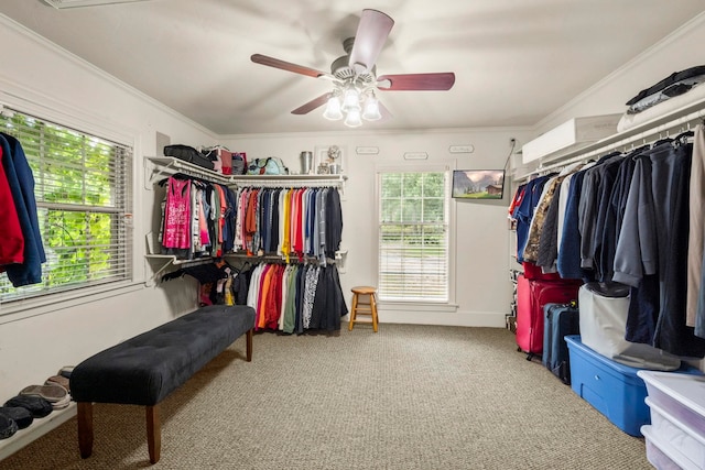 1280 Cherokee Ln, Beaumont, TX 77702 - walk in closet featuring carpet and ceiling fan