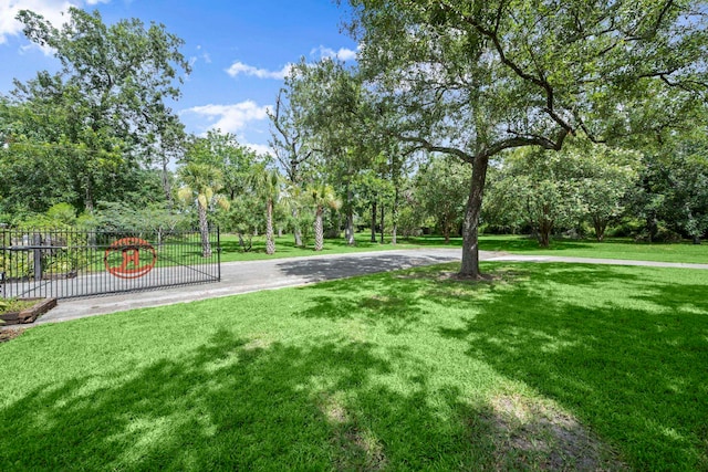 1280 Cherokee Ln, Beaumont, TX 77702 - view of yard featuring view of scattered trees
