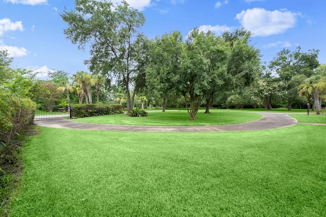 1280 Cherokee Ln, Beaumont, TX 77702 - view of home's community featuring a gate and view of wooded area