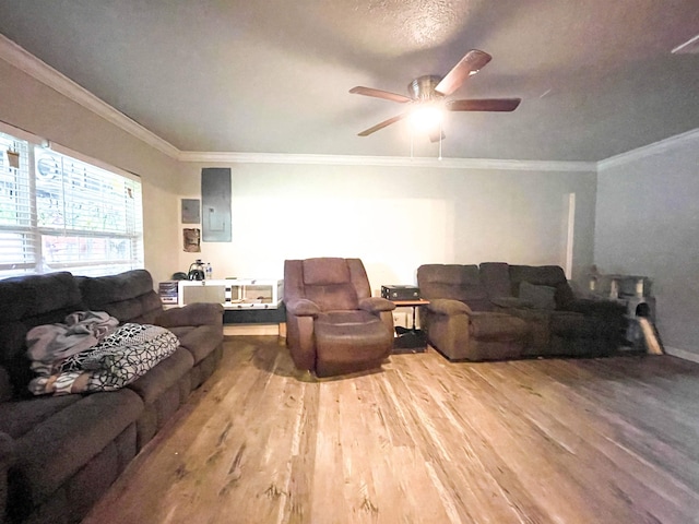 living room with electric panel, ceiling fan, light wood-type flooring, ornamental molding, and a textured ceiling