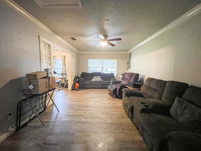 living room featuring a textured ceiling, hardwood / wood-style flooring, and crown molding