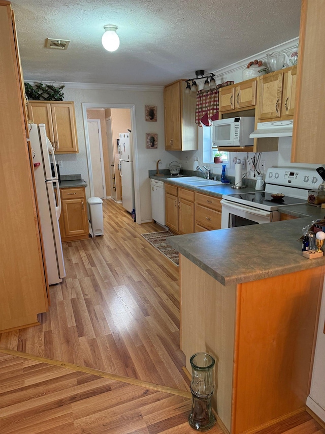 kitchen featuring kitchen peninsula, ornamental molding, a textured ceiling, white appliances, and sink