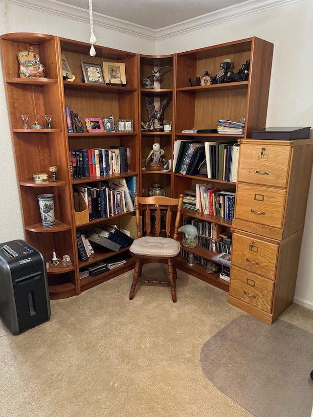 living area featuring light carpet and ornamental molding