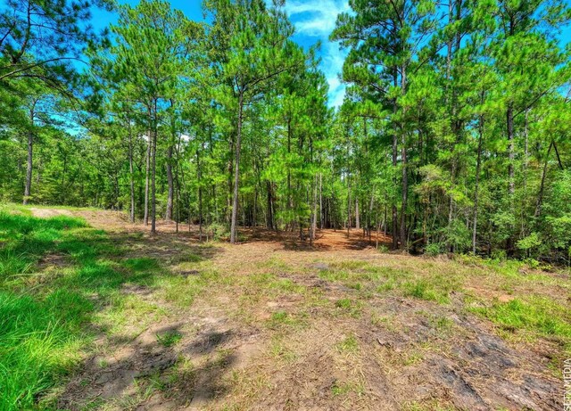 000 Parkside Dr, Brookeland, TX 75931