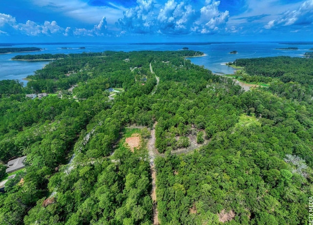 000 Parkside Dr, Brookeland, TX 75931