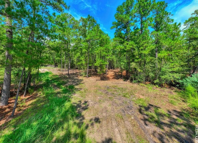 000 Parkside Dr, Brookeland TX, 75931 land for sale