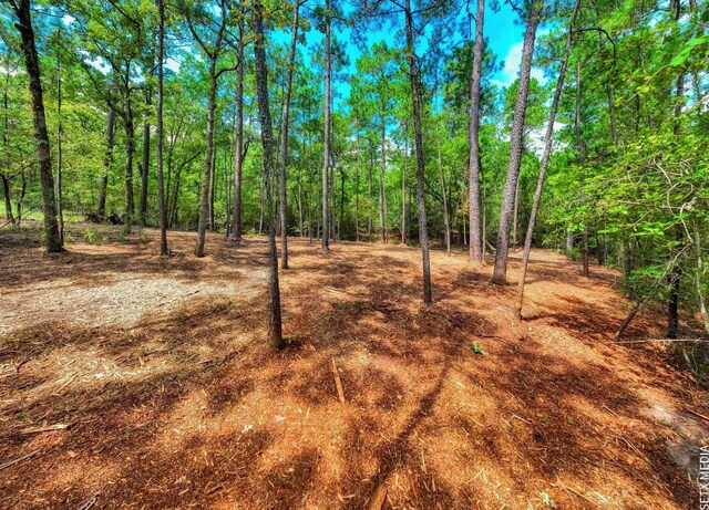 000 Parkside Dr, Brookeland, TX 75931