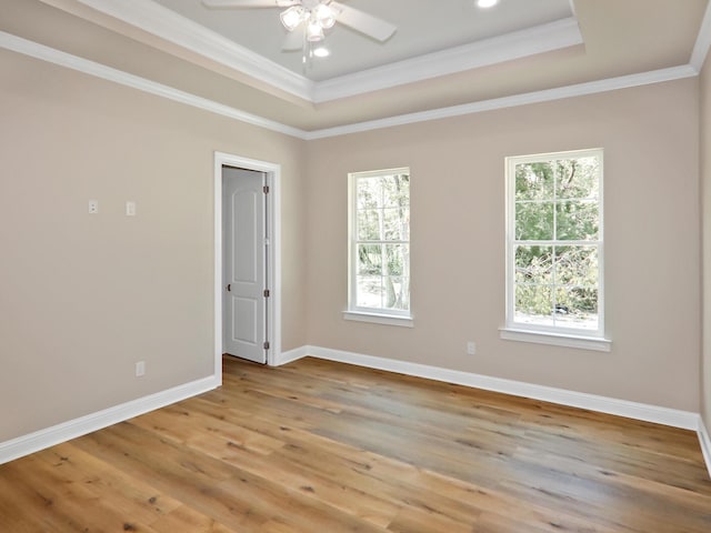 spare room with light hardwood / wood-style flooring, a raised ceiling, a wealth of natural light, and ornamental molding