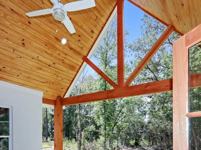 details featuring a skylight and ceiling fan