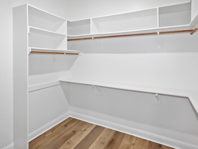 walk in closet featuring hardwood / wood-style flooring