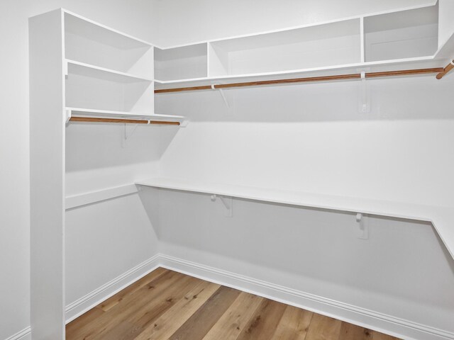 spacious closet featuring wood finished floors