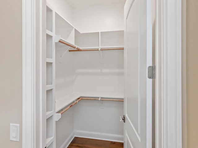 spacious closet featuring dark wood-style floors