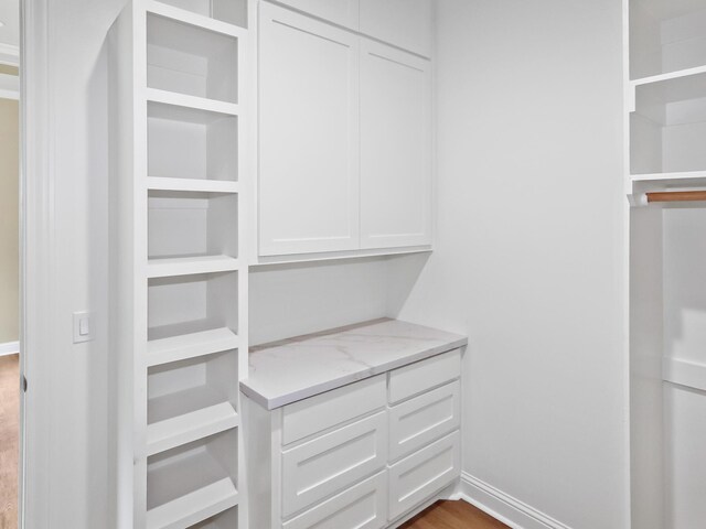 spacious closet with wood finished floors