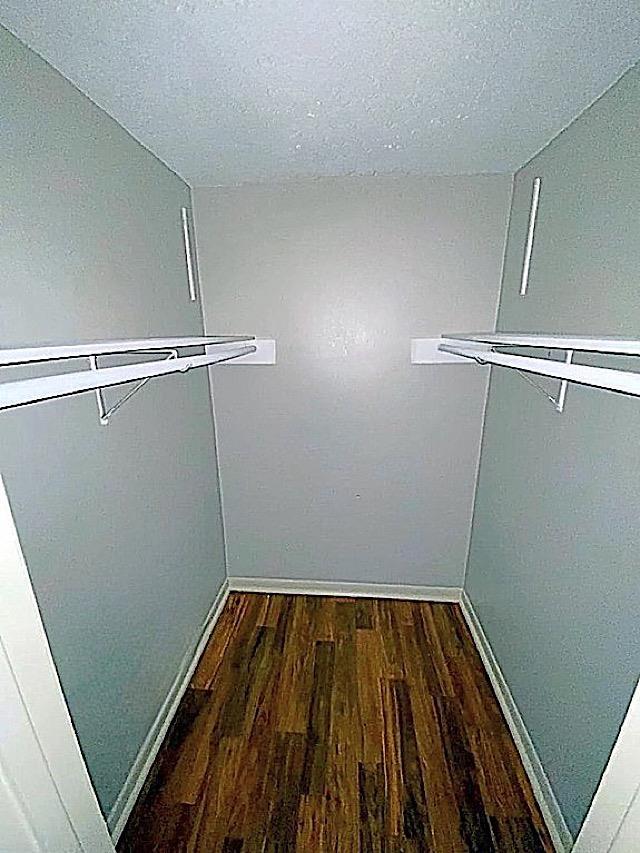 walk in closet featuring dark wood-style floors