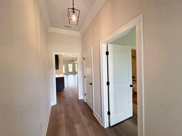 1240 Little Cypress Loop, Orange, TX 77632 - hallway featuring ornamental molding, dark wood finished floors, and baseboards