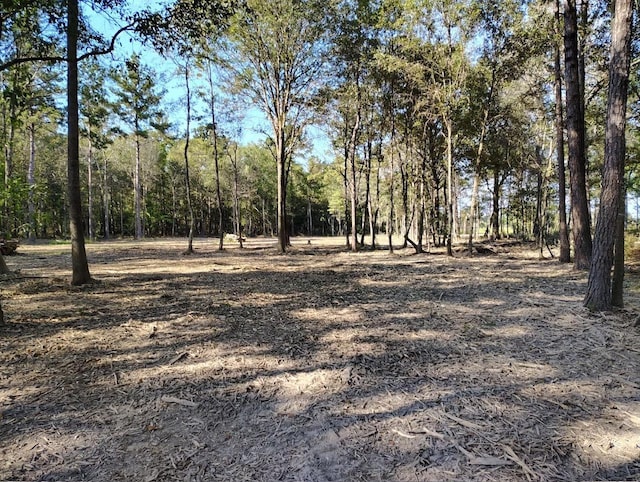 970 County Road 715, Buna TX, 77612 land for sale