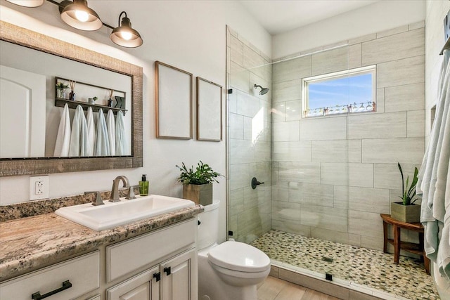 bathroom with toilet, vanity, and tiled shower