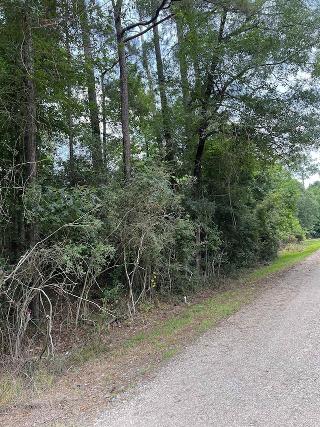 0000 Love St, Vidor, TX 77662 - photo 3
