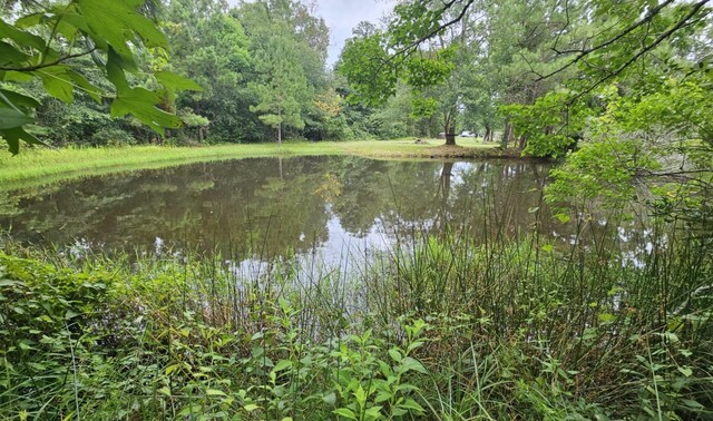 17014 N 326, Sour Lake, TX 77659