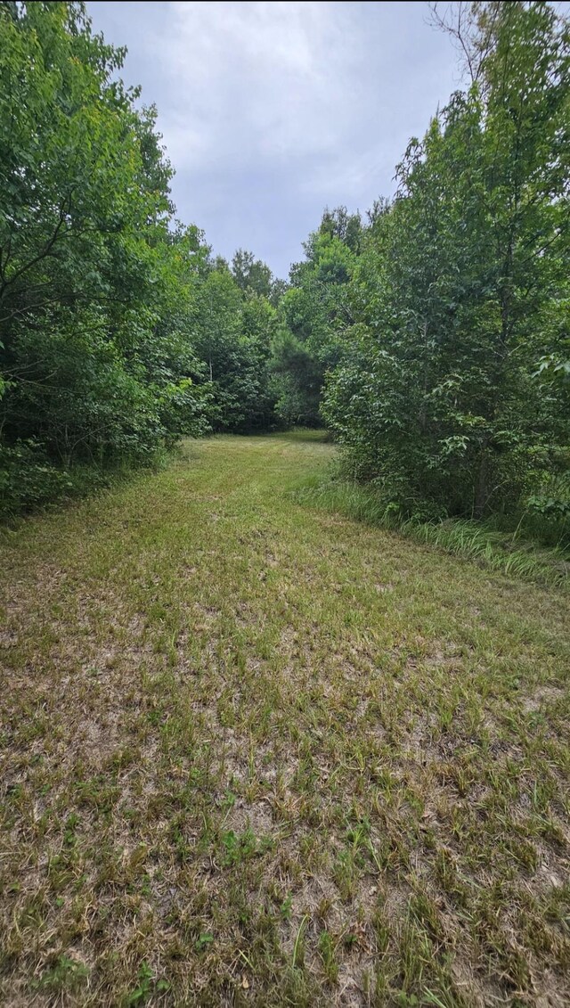 17014 N 326, Sour Lake, TX 77659