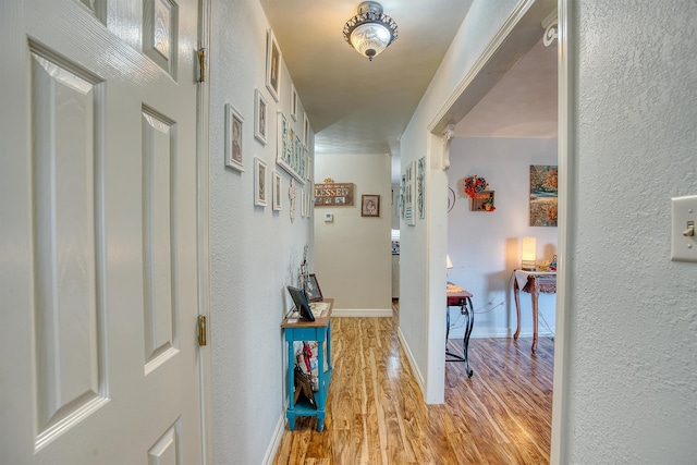 hall with light hardwood / wood-style flooring